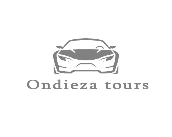 Ondieza Tours Logo